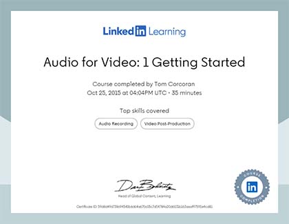 Lynda.com Audio for Video: 1 Getting Started Course (2015)