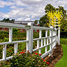 Missouri Botanical Rose Garden Fence Gate