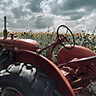 Rader Family Farms Tractor